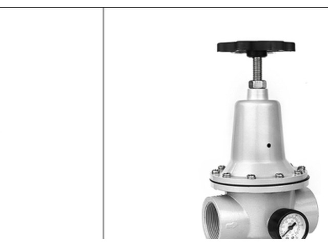 QTY Pressure Regulator